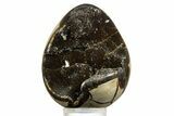 Septarian Dragon Egg Geode - Sparkly Black Crystals #344440-1